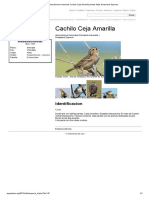 Ammodramus Humeralis Cachilo Ceja Amarilla Photos Fotos Grassland Sparrow PDF