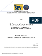 S1-Concepto Constitucional de La Familia1718 MODIFICADO PDF