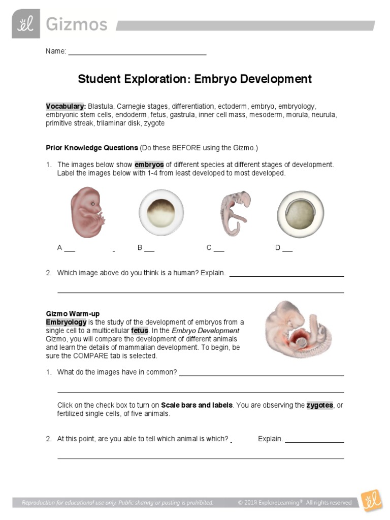 Comparative Embryology Exploration Guide | PDF | Embryo | Biological ...