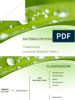 bacteriasfitopatog-150321170158-conversion-gate01