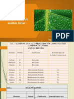 15. CLASE XI Analisis foliar