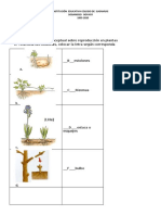 Taller Reproduccion en Plantas