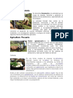 Agricultura forestaría.docx