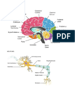 Psychology HW_Akshaya 1