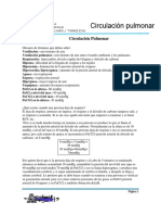 FISIOLOGIA 15-05-25 circulacion pulmonar.pdf