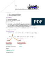 FISIOLOGIA 15 10 07 Dr. Copari.pdf