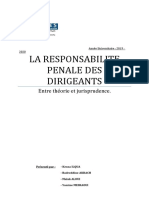 Responsabilité Pénale Des Dirigeants