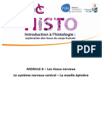 MOD6 Le Syste Me Nerveux Central - La Moelle e Pinie Re PDF
