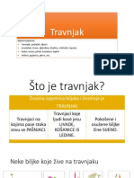 Travnjak