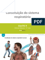 Constituição Do Sistema Respiratório