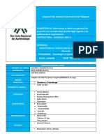 Analisis Del Riesgo Por Puesto de Trabajo 1439408