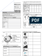 actividadessobreestructuracelular1-120318122717-phpapp02 (1).pdf