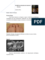 Mapa Podologia - ANATOMIA HUMANA