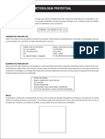 Guía Método Proyectual PDF