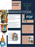 SOCIEDAD VS ORGANIZACION.pdf