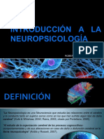 Introduccion Neuropsicologia