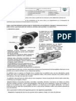 Guias Ciencias Naturales 8 2020