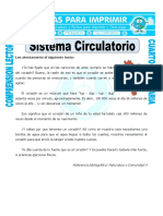 Ficha-Sistema-Circulatorio-para-Cuarto-de-Primaria