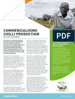 Commercialising Chilli Production: The North Eastern Chilli Producers Association