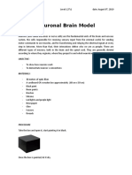 Neuronal Model