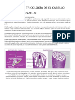 Colorimetria Capilar