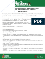 01 Convocatoria Becas Presente 2020.pdf