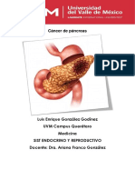 Cáncer de páncreas.pdf