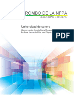 ROMBO DE LA NFPA Reporte