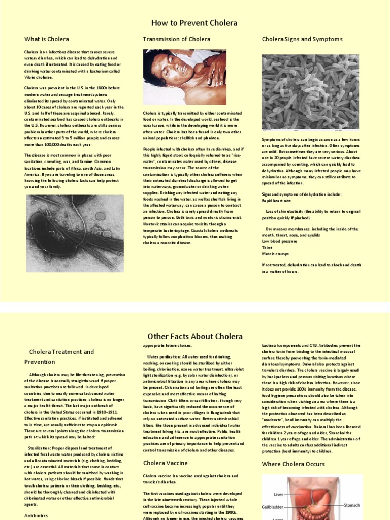How To Prevent Cholera: What Is Cholera Transmission of Cholera Cholera ...