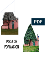 Poda Formación General