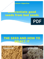 The Seed and How To Select It