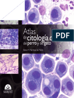 Atlas de citologia clinica del perro y del gato - Martinez de Merlo, Elena M_