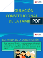 REGULACION CONST. DE LA FAMILIA.pdf