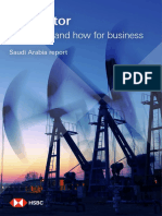 Saudi Arabia Report 2018 PDF