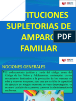 INSTITUCIONES SUPLETORIAS DE AMPARO FAMILIAR.pptx
