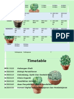 PISMP SEM6 Timetable