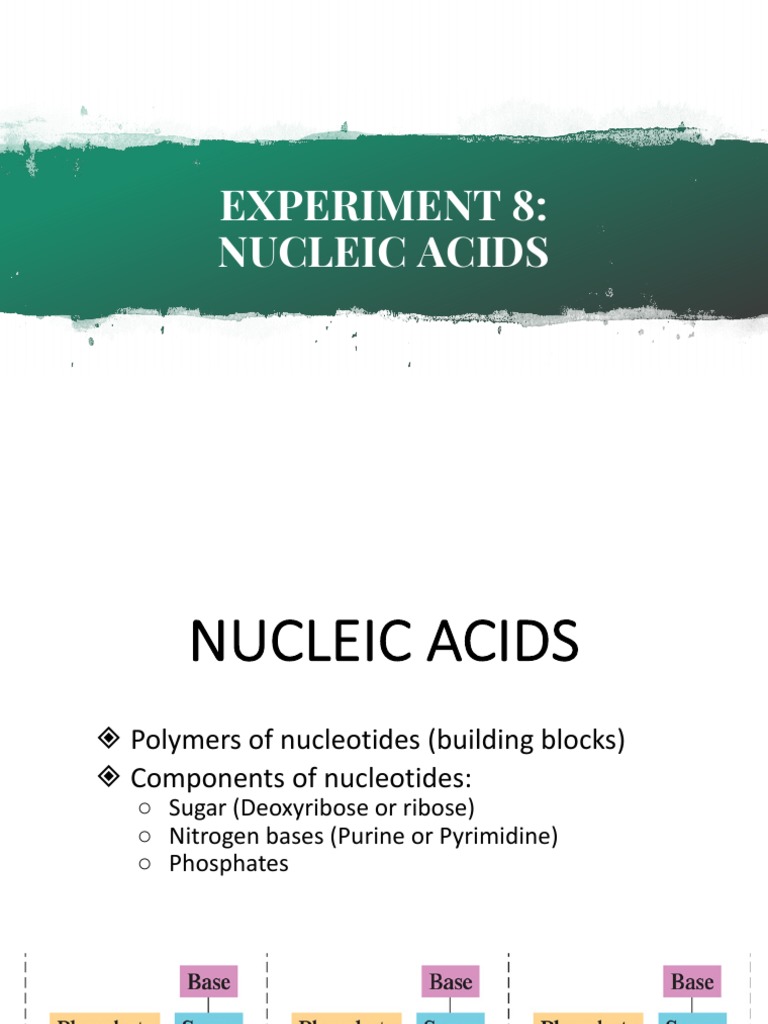 8 1 NUCLEIC ACIDS intelligence overview