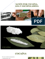 Intoxicación Por Cocaína, Marihuana y Escopolamina