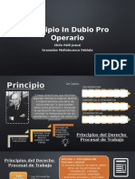 Principio in Dubio Pro Operario