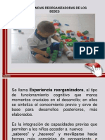 Experiencia Reorganizadora PDF