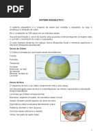 1 APOSTILA DE ANATOMIA kleyre