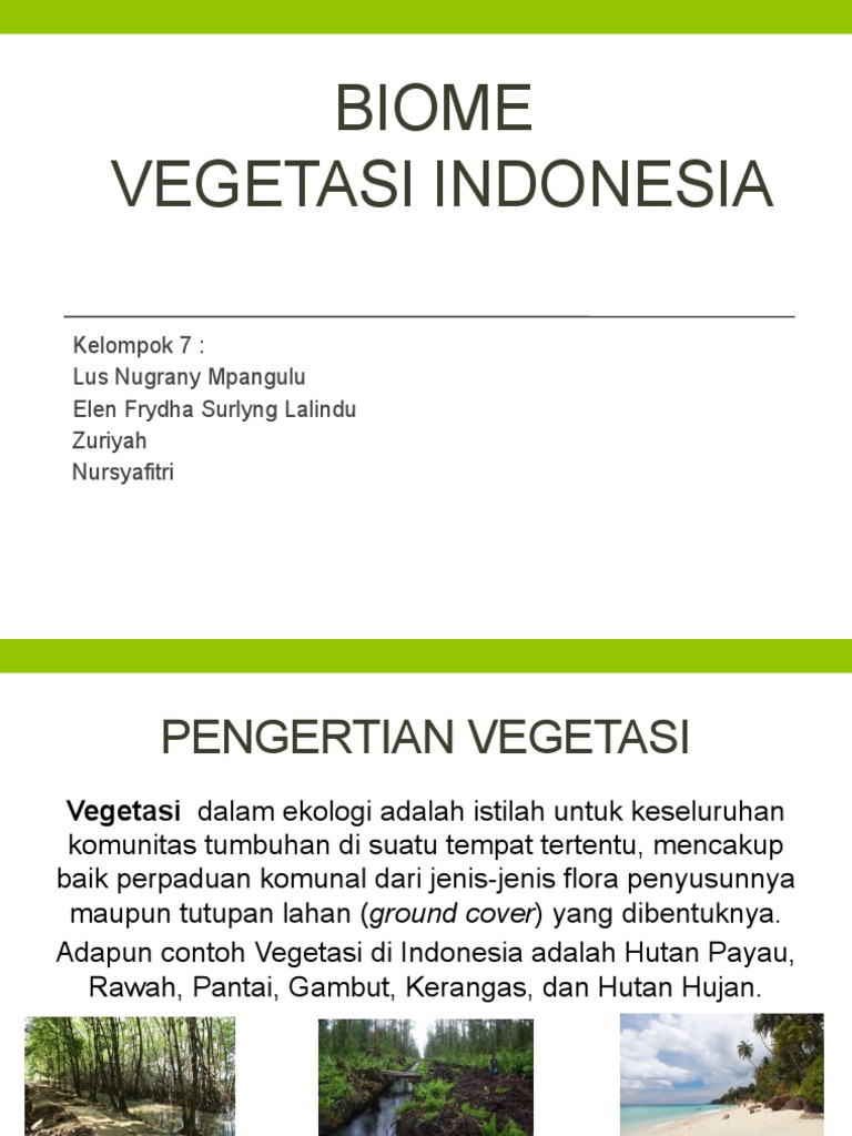 Vegetasi Bioma Indonesia: Jenis dan Zona | PDF | Griya & Taman | Sains ...