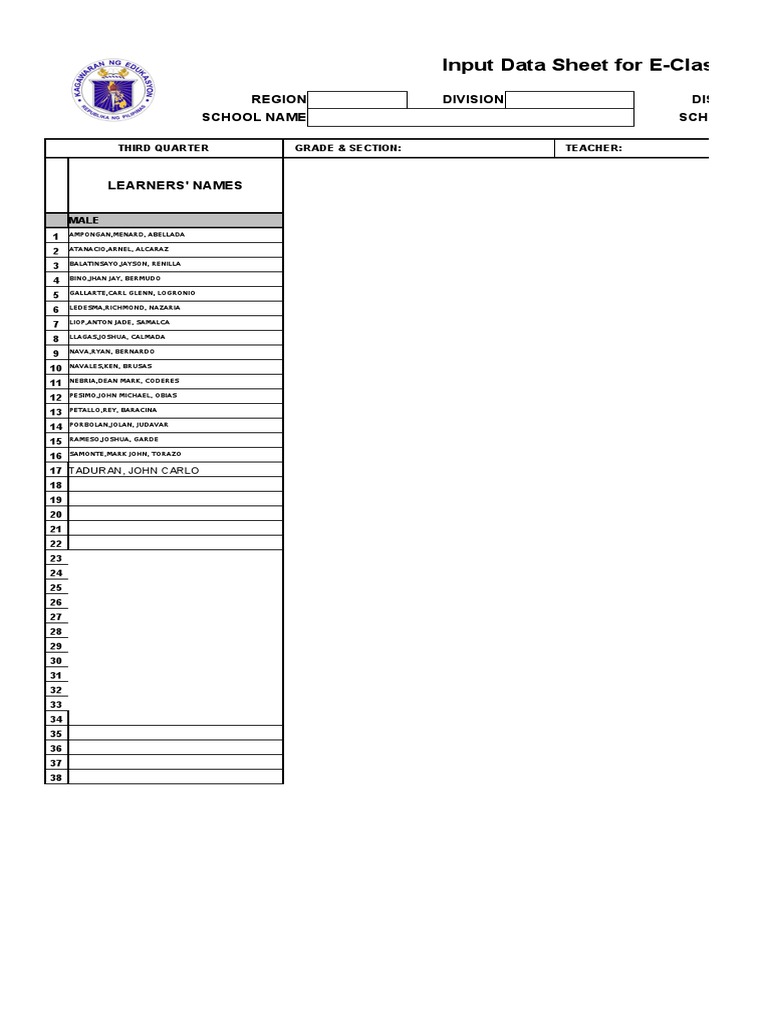 E-Class Record Input Data Sheet | PDF