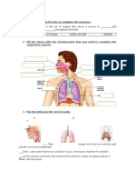 Respiratory - Exchange - Carbon Dioxide - Breathe