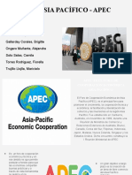 APEC PPT (1)