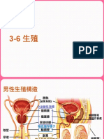 3-6 生殖 PDF