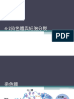 4-2 染色體 PDF