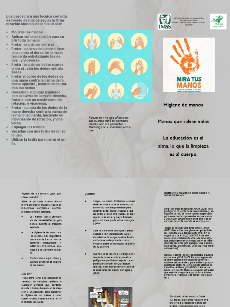 Higiene de Manos en Atención Sanitaria | PDF | Lavado de manos | Salud ...