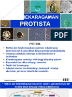 5. Keanekaragaman Protista