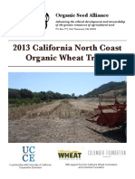 2013 California North Coast Organic Wheat Trials
